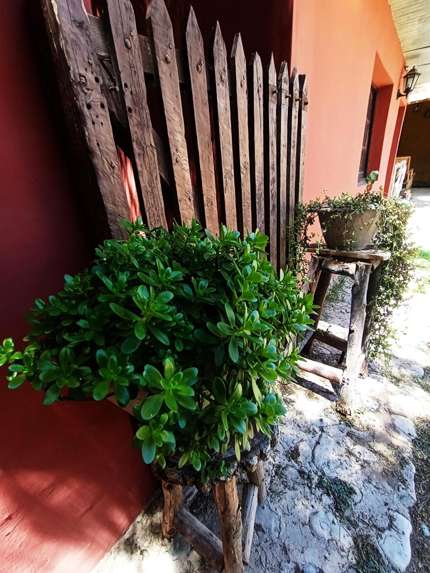 Hostal La Albahaca ティルカラ エクステリア 写真